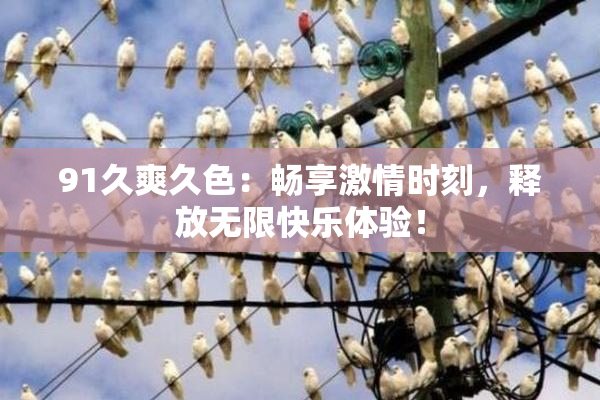 91久爽久色：畅享激情时刻，释放无限快乐体验！