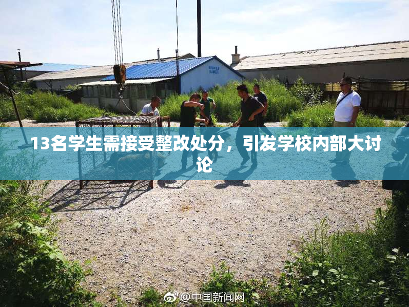13名学生需接受整改处分，引发学校内部大讨论