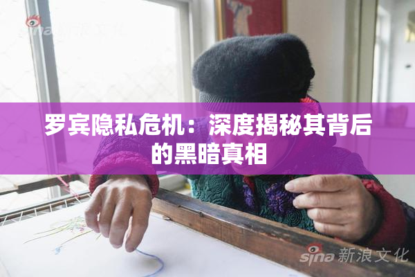 罗宾隐私危机：深度揭秘其背后的黑暗真相