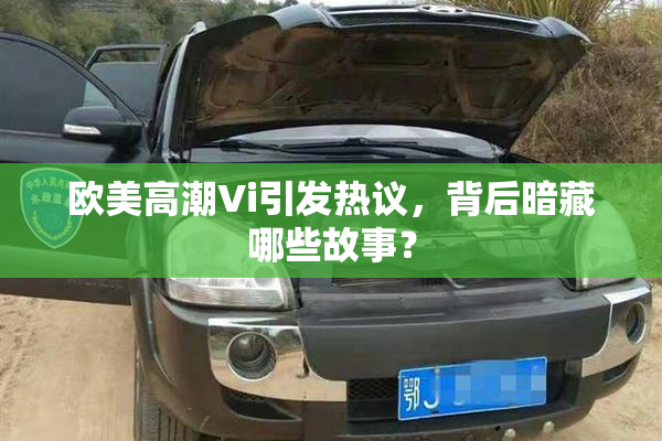 欧美高潮Vi引发热议，背后暗藏哪些故事？