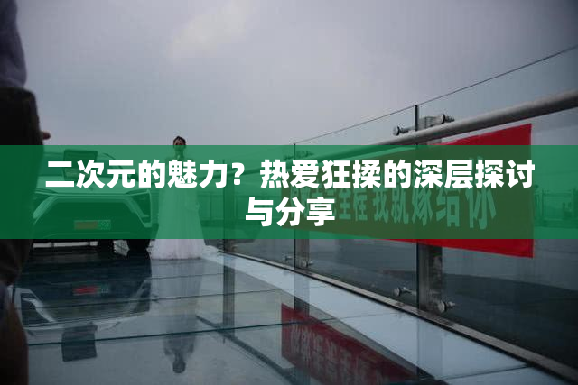 二次元的魅力？热爱狂揉的深层探讨与分享