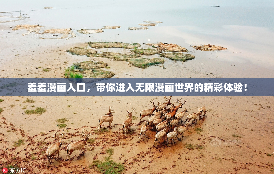羞羞漫画入口，带你进入无限漫画世界的精彩体验！