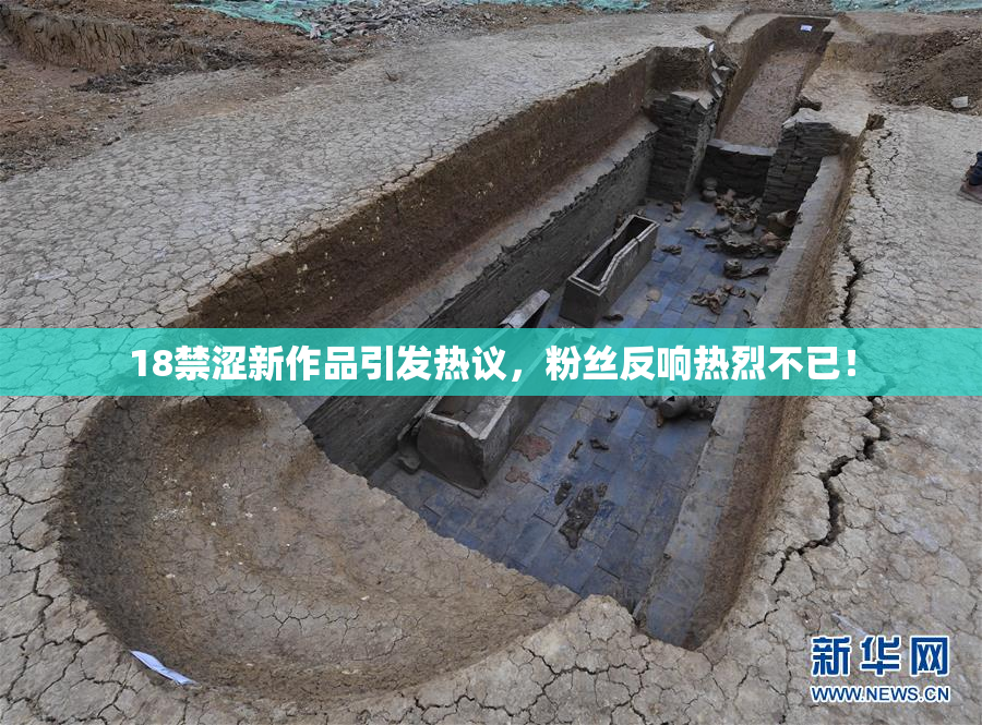 18禁涩新作品引发热议，粉丝反响热烈不已！
