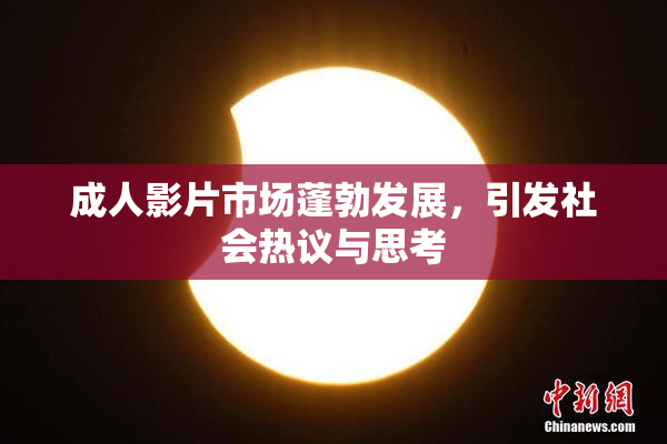 成人影片市场蓬勃发展，引发社会热议与思考