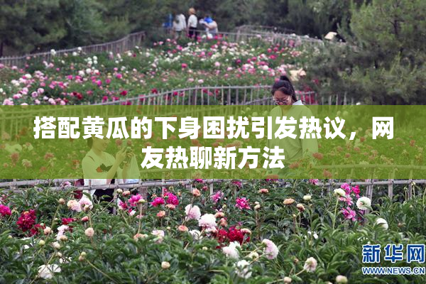 搭配黄瓜的下身困扰引发热议，网友热聊新方法