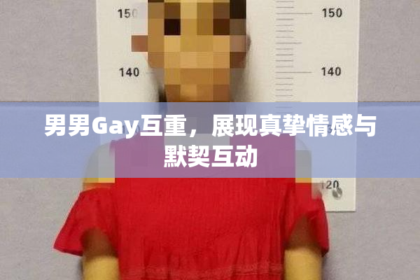 男男Gay互重，展现真挚情感与默契互动