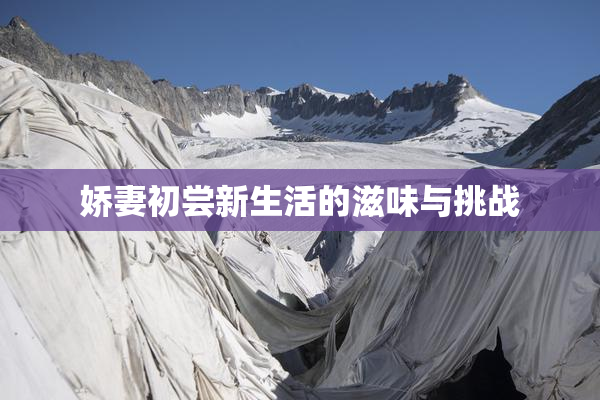 娇妻初尝新生活的滋味与挑战
