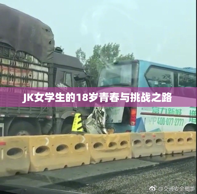 JK女学生的18岁青春与挑战之路