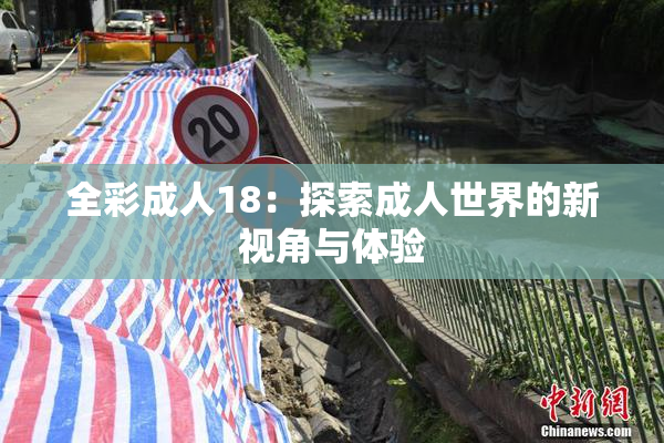 全彩成人18：探索成人世界的新视角与体验