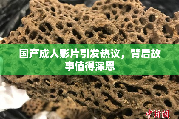 国产成人影片引发热议，背后故事值得深思