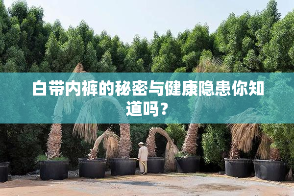 白带内裤的秘密与健康隐患你知道吗？