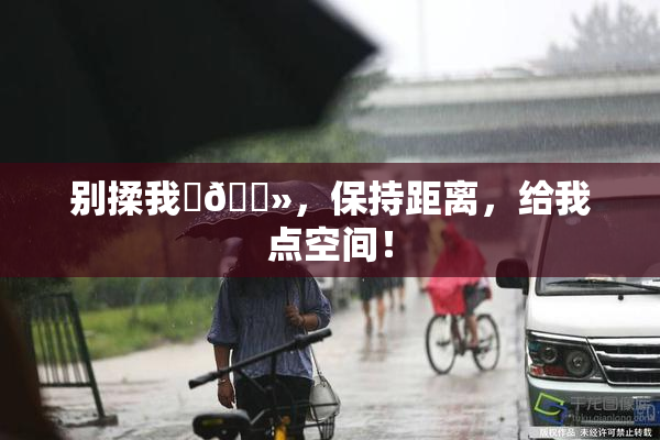 别揉我‌🐻，保持距离，给我点空间！