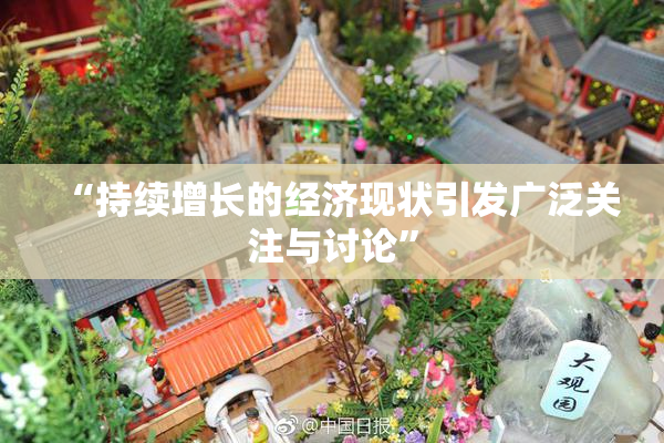 “持续增长的经济现状引发广泛关注与讨论”