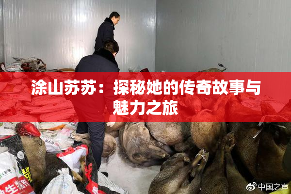 涂山苏苏：探秘她的传奇故事与魅力之旅