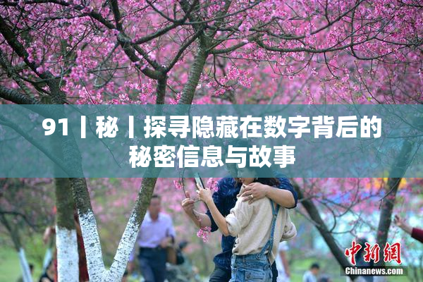 91丨秘丨探寻隐藏在数字背后的秘密信息与故事
