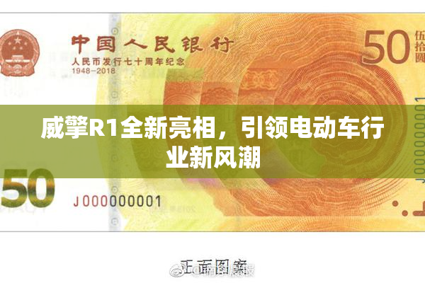 威擎R1全新亮相，引领电动车行业新风潮