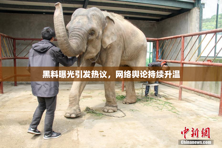 黑料曝光引发热议，网络舆论持续升温