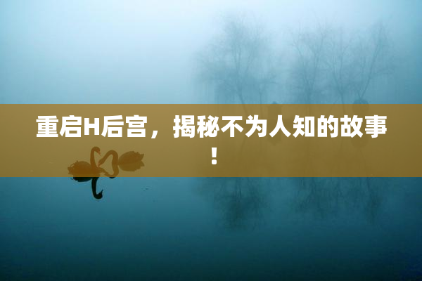 重启H后宫，揭秘不为人知的故事！