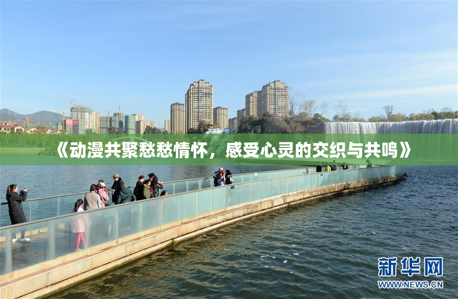 《动漫共聚愁愁情怀，感受心灵的交织与共鸣》