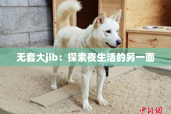 无套大jib：探索夜生活的另一面