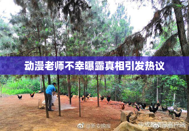 动漫老师不幸曝露真相引发热议