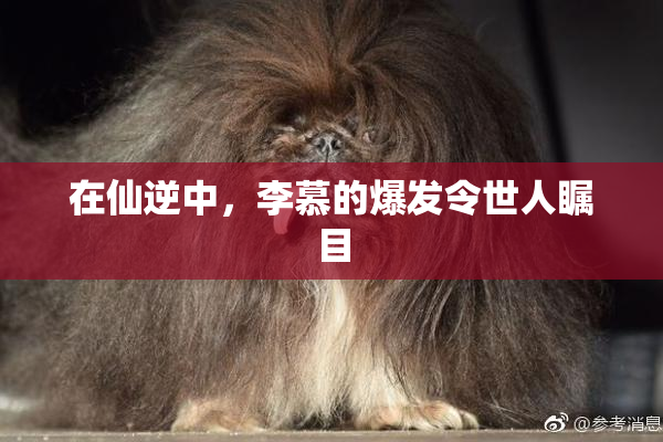 在仙逆中，李慕的爆发令世人瞩目