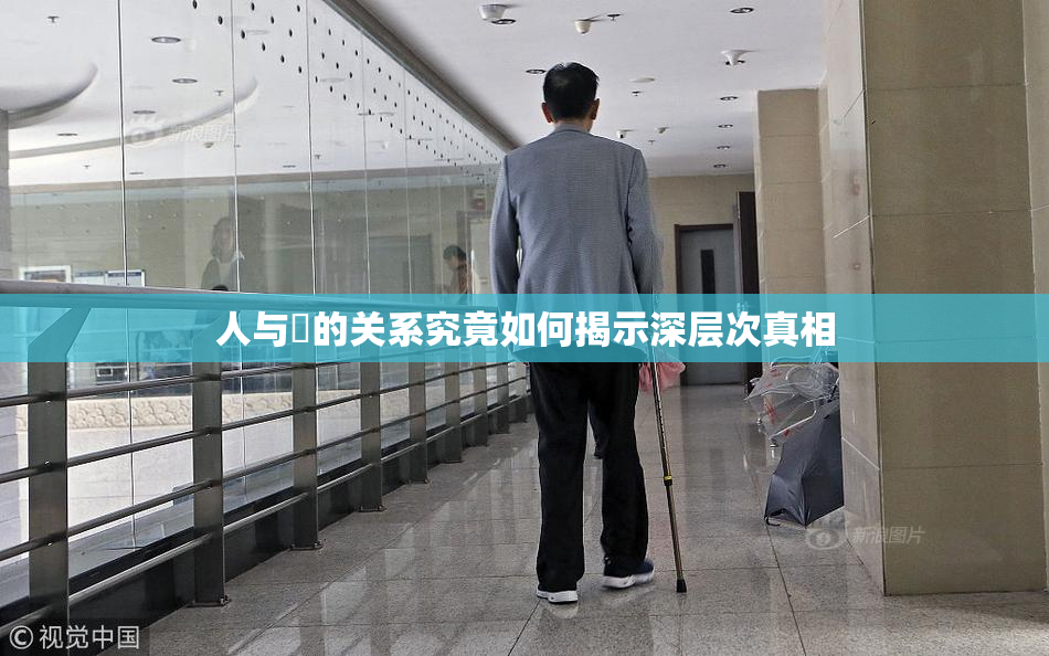 人与嘼的关系究竟如何揭示深层次真相