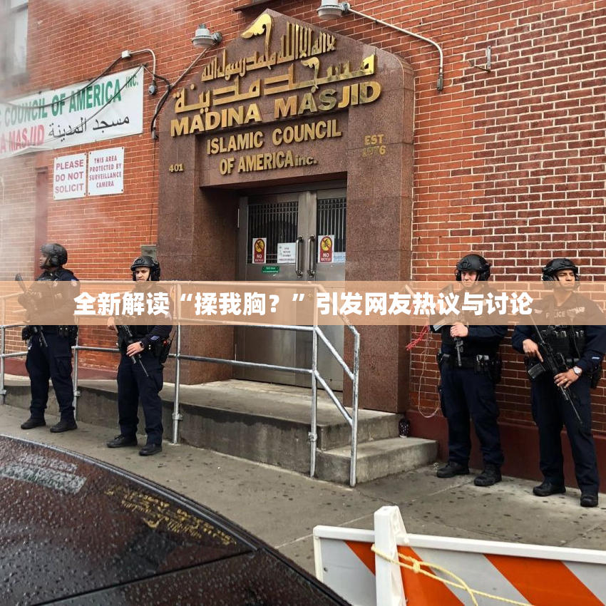 全新解读“揉我胸？”引发网友热议与讨论