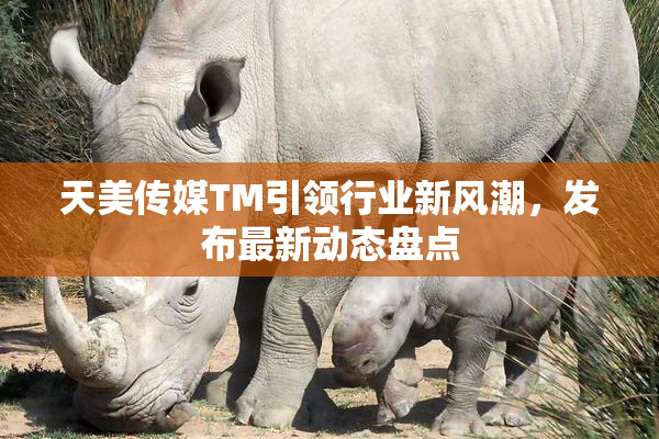 天美传媒TM引领行业新风潮，发布最新动态盘点