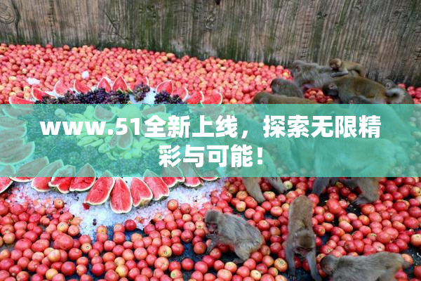 www.51全新上线，探索无限精彩与可能！