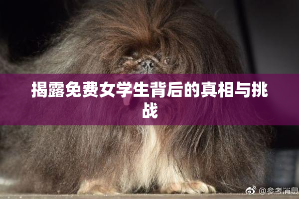 揭露免费女学生背后的真相与挑战