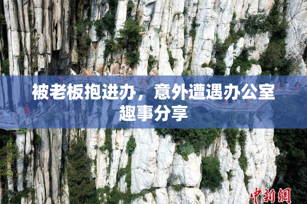 被老板抱进办，意外遭遇办公室趣事分享