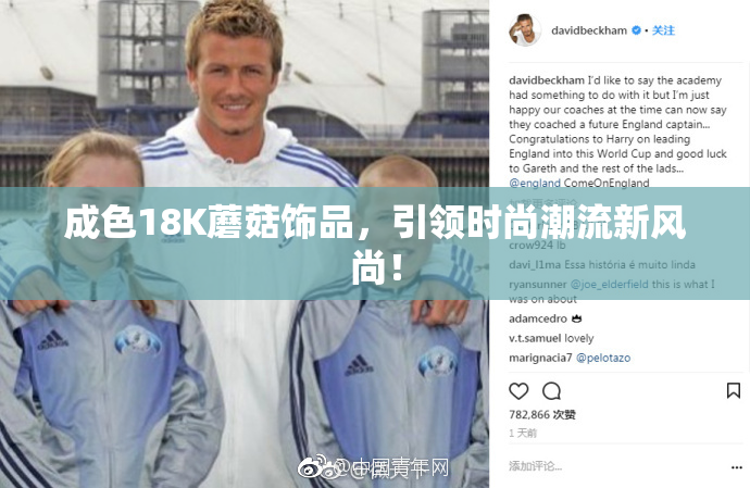 成色18K蘑菇饰品，引领时尚潮流新风尚！