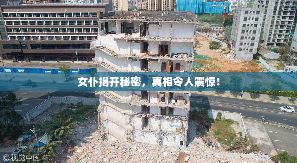 女仆揭开秘密，真相令人震惊！