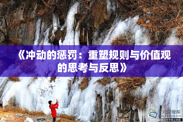 《冲动的惩罚：重塑规则与价值观的思考与反思》