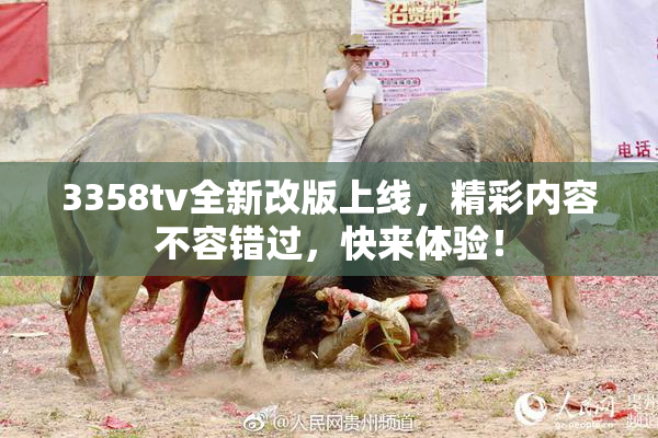 3358tv全新改版上线，精彩内容不容错过，快来体验！