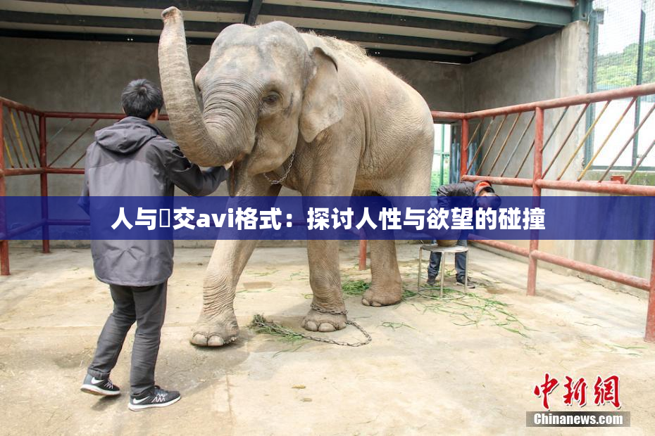 人与嘼交avi格式：探讨人性与欲望的碰撞