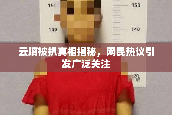云璃被扒真相揭秘，网民热议引发广泛关注