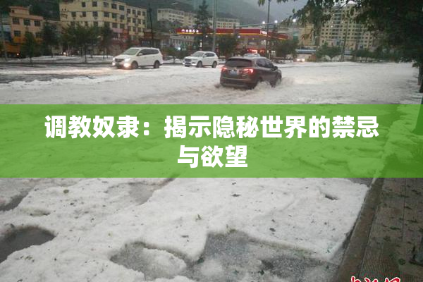 调教奴隶：揭示隐秘世界的禁忌与欲望