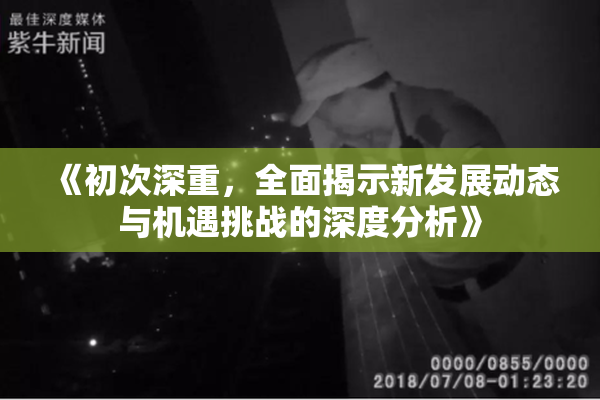 《初次深重，全面揭示新发展动态与机遇挑战的深度分析》