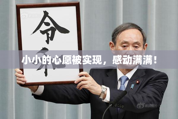 小小的心愿被实现，感动满满！