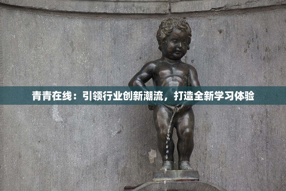 青青在线：引领行业创新潮流，打造全新学习体验