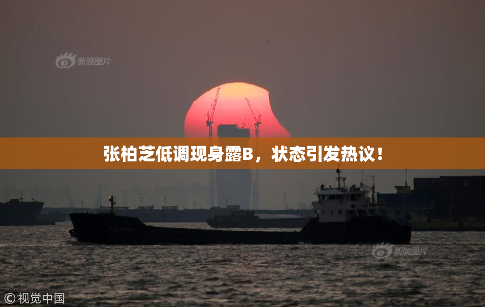 张柏芝低调现身露B，状态引发热议！