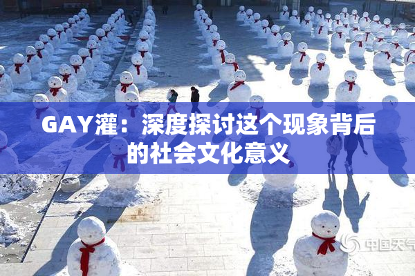 GAY灌：深度探讨这个现象背后的社会文化意义