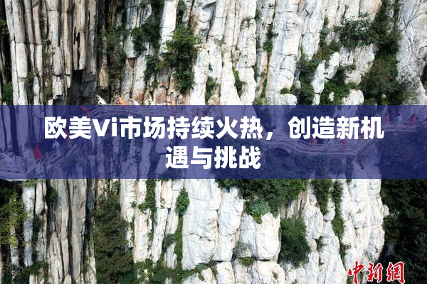 欧美Vi市场持续火热，创造新机遇与挑战