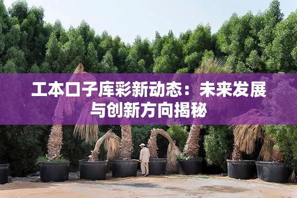 工本口子库彩新动态：未来发展与创新方向揭秘