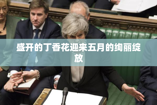 盛开的丁香花迎来五月的绚丽绽放