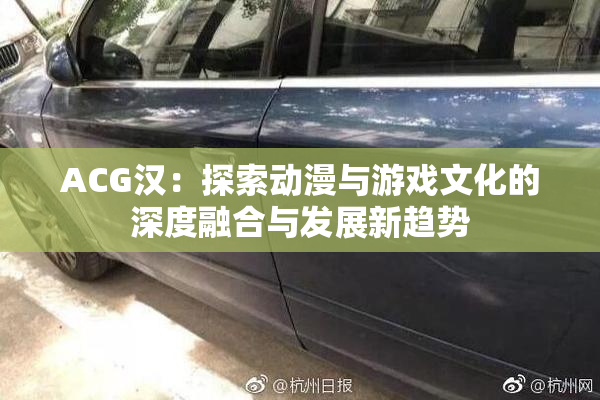 ACG汉：探索动漫与游戏文化的深度融合与发展新趋势