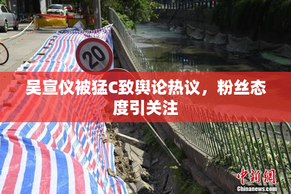 吴宣仪被猛C致舆论热议，粉丝态度引关注