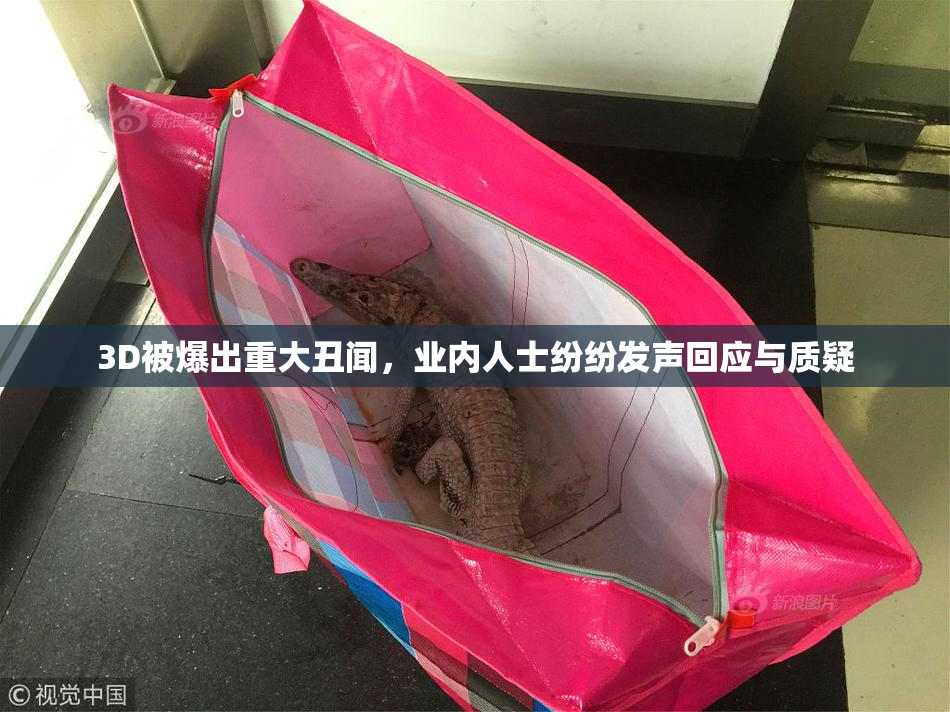 3D被爆出重大丑闻，业内人士纷纷发声回应与质疑